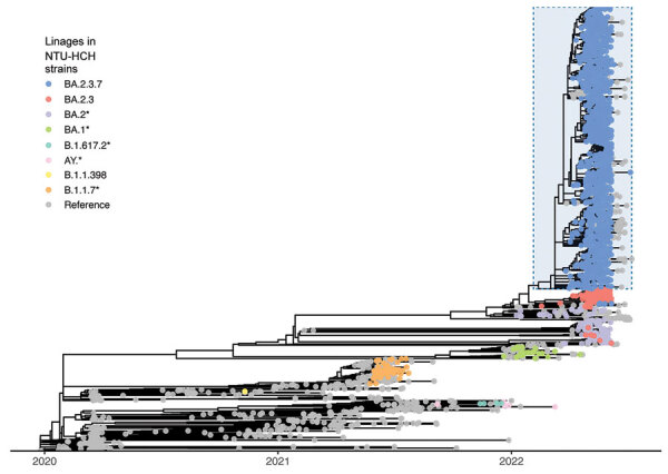 Emergence and Persistent Dominance of SARS-CoV-2 Omicron BA.2.3.7 Variant, Taiwan