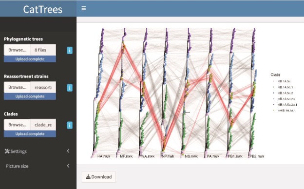 Visualizing and deciphering influenza A(H1N1) pdm09 reassortment in the 2019-23 seasons